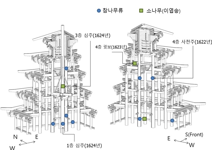 참나무류-1층 심주(1624년), 4층 사천(1622년) / 소나무(이엽송)-3층심주(1624년), 4층 귓보(1623년)