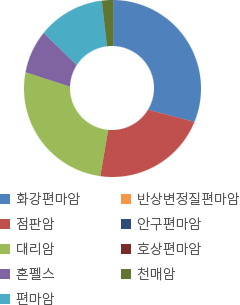 변성암 비율 도표