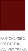 서브 컬러 PANTONE 499 C. R96 G13 B10. C25 M90 Y80 K65